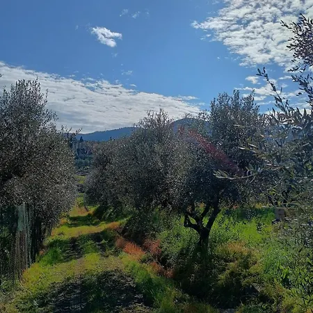 Дом отдыха Casa Branchetti